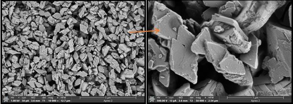 110708_615711_gsdt.png 2-11.png