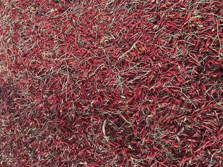 142057_076522_gsdt.jpg 142057_076522_gsdt.jpg