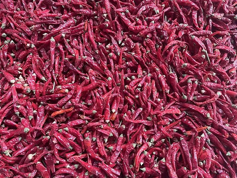 142122_106324_gsdt.jpg 142122_106324_gsdt.jpg