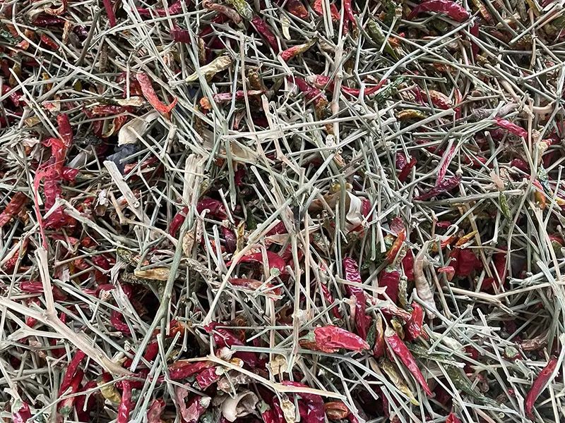 142153_887221_gsdt.jpg 142153_887221_gsdt.jpg