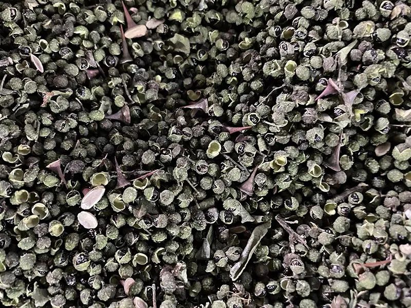 142816_790842_gsdt.jpg 142816_790842_gsdt.jpg