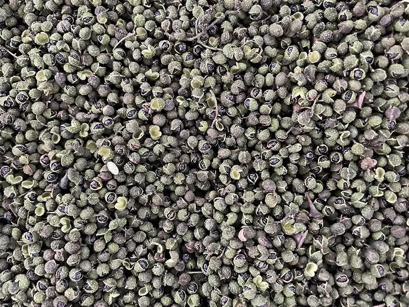 143405_591414_gsdt.jpg 143405_591414_gsdt.jpg