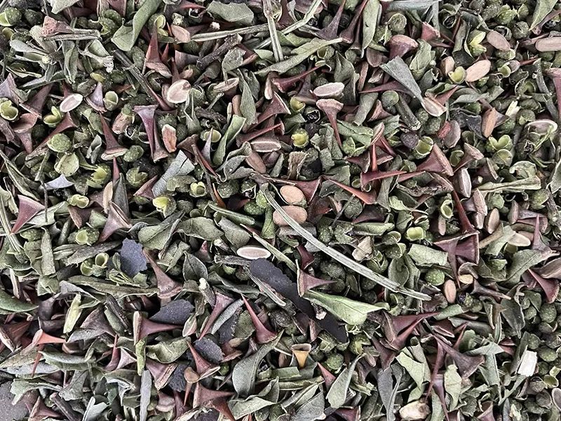 143426_837506_gsdt.jpg 143426_837506_gsdt.jpg