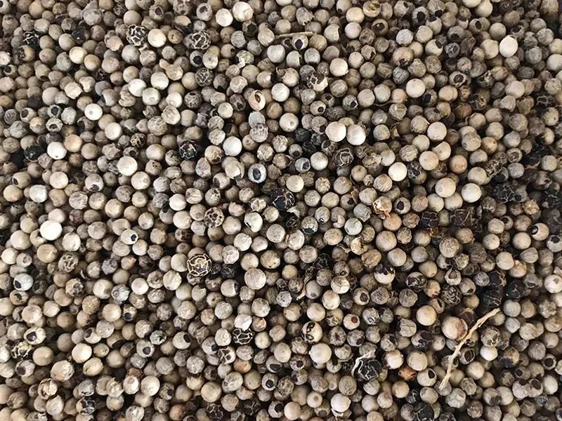 143450_216787_gsdt.jpg 143450_216787_gsdt.jpg