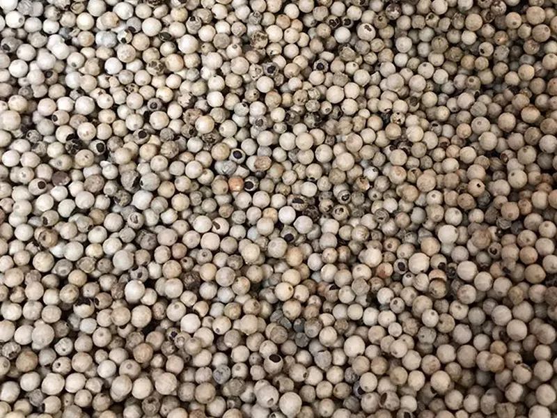 143511_526745_gsdt.jpg 143511_526745_gsdt.jpg