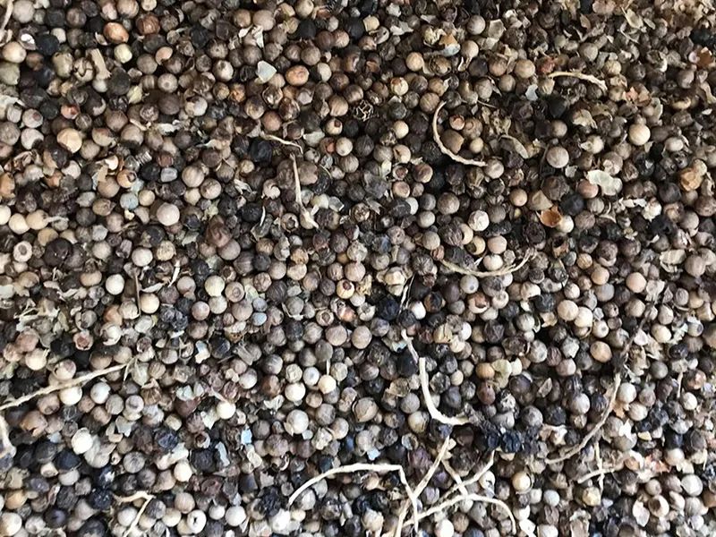 143539_580116_gsdt.jpg 143539_580116_gsdt.jpg