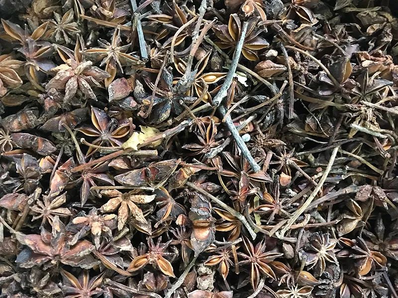 143604_243770_gsdt.jpg 143604_243770_gsdt.jpg