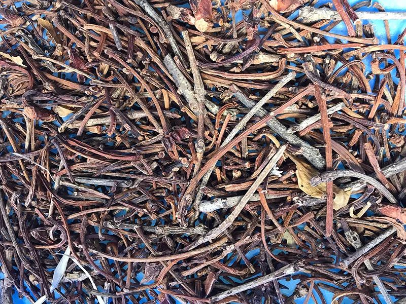 143646_267357_gsdt.jpg 143646_267357_gsdt.jpg