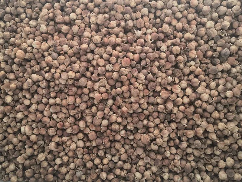 143817_178459_gsdt.jpg 143817_178459_gsdt.jpg