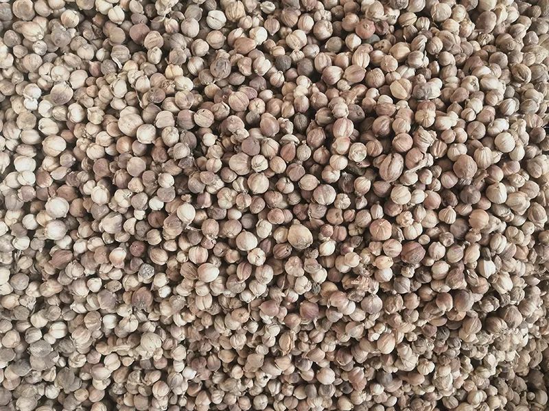 143839_472390_gsdt.jpg 143839_472390_gsdt.jpg