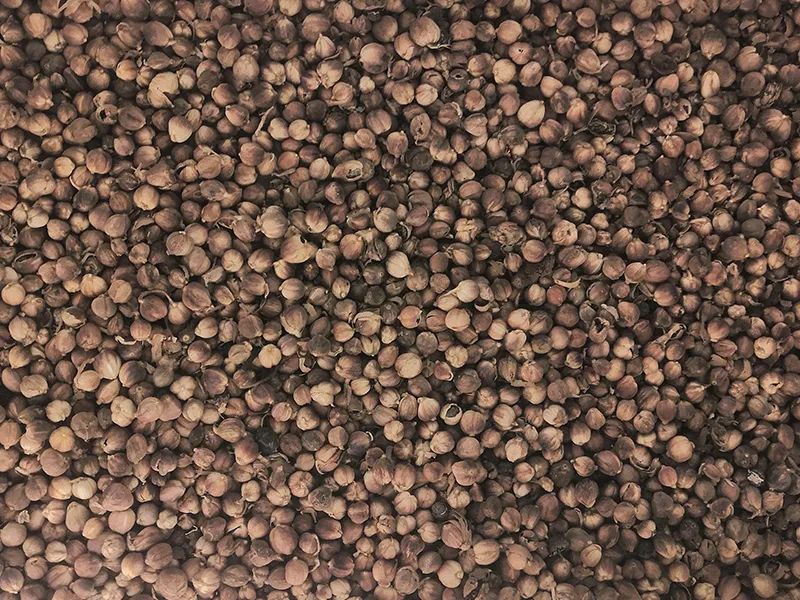 143902_701242_gsdt.jpg 143902_701242_gsdt.jpg