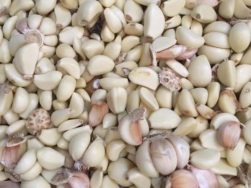 143923_445847_gsdt.jpg 143923_445847_gsdt.jpg