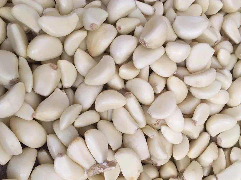 143945_010087_gsdt.jpg 143945_010087_gsdt.jpg