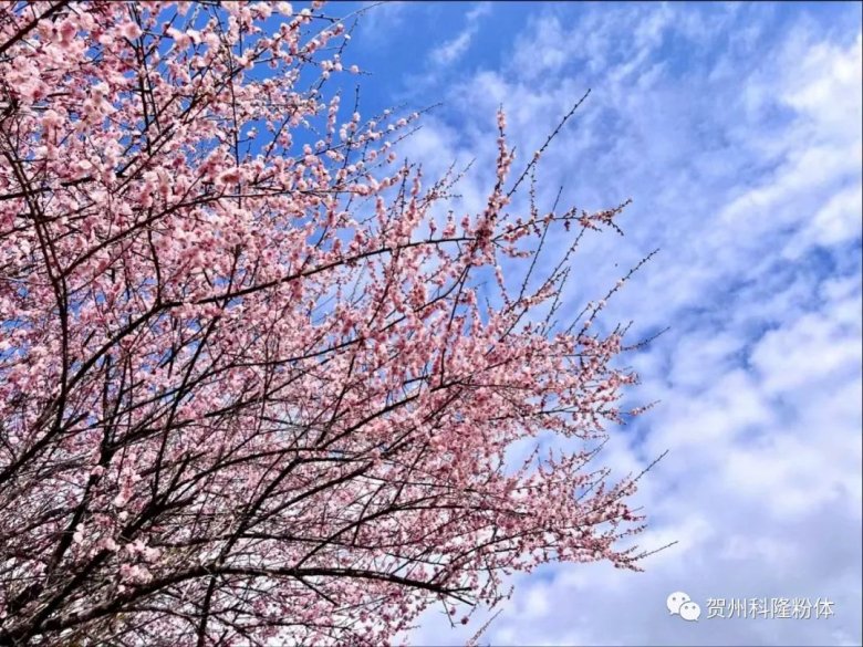 171003_883136_gsdt.jpg 1-5.jpg