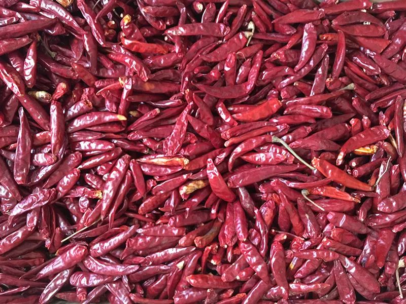 171654_207195_gsdt.jpg 3-3.jpg