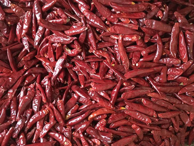 171835_036553_gsdt.jpg 3-4.jpg