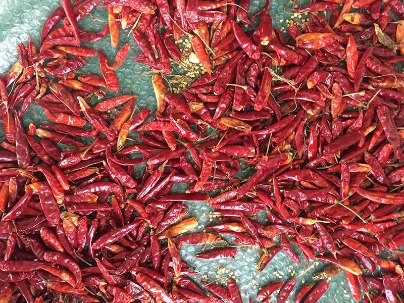 171908_028206_gsdt.jpg 3-5.jpg