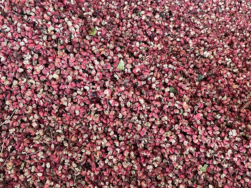 172027_677005_gsdt.jpg 3-6.jpg