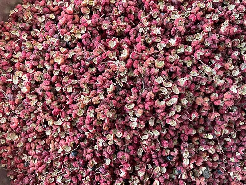 172040_269760_gsdt.jpg 3-7.jpg