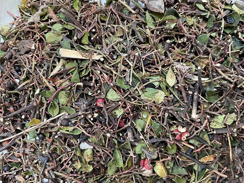 172052_088708_gsdt.jpg 3-8.jpg