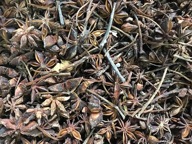 172111_466564_gsdt.jpg 3-9.jpg