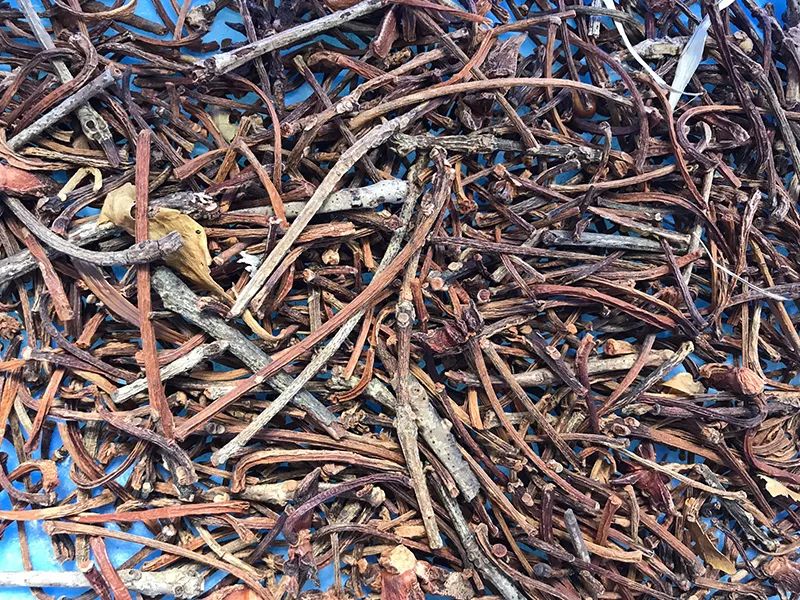 172135_809316_gsdt.jpg 3-11.jpg