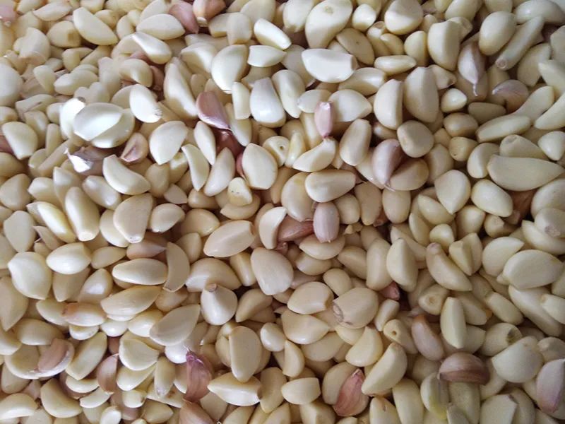 172156_796758_gsdt.jpg 3-12.jpg