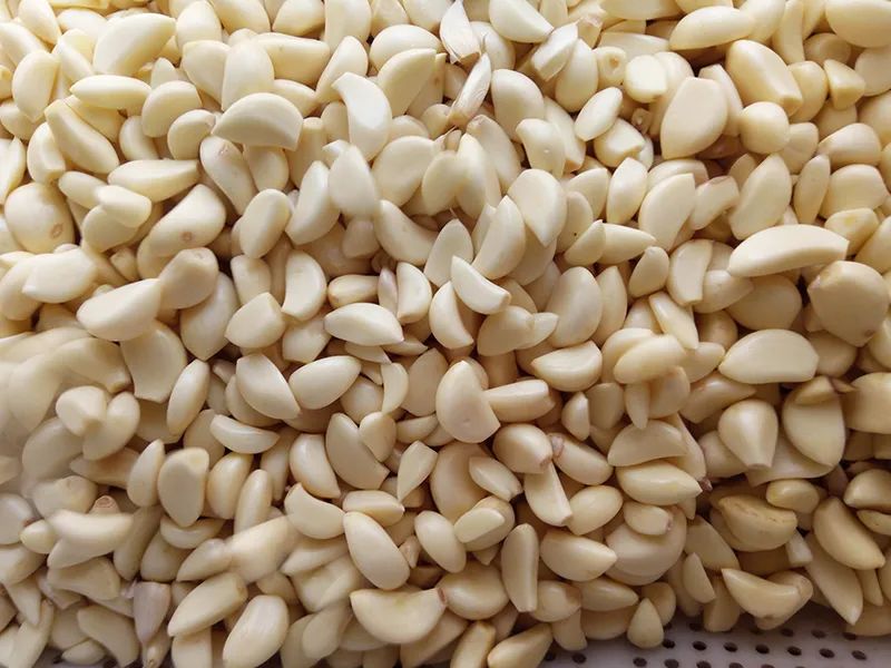 172209_952139_gsdt.jpg 3-13.jpg