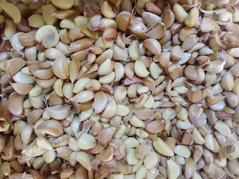 172226_007811_gsdt.jpg 3-14.jpg