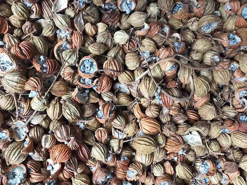 172241_938770_gsdt.jpg 3-15.jpg