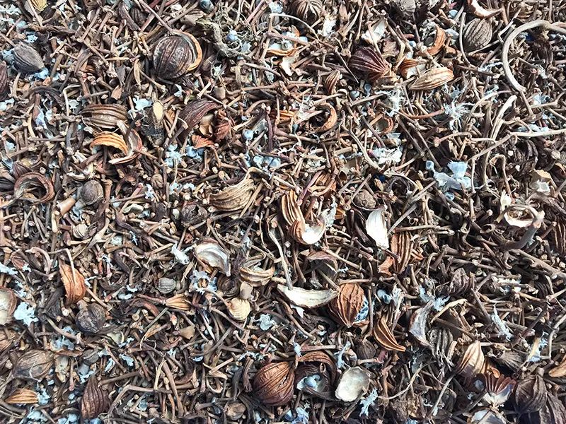 172306_810922_gsdt.jpg 3-17.jpg