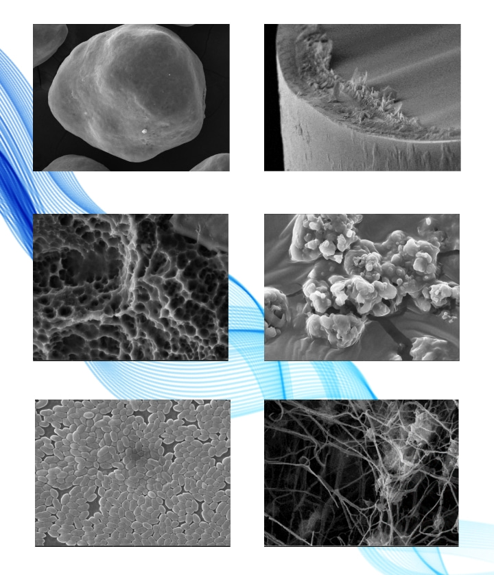 1676079364134062.jpg 879.jpg