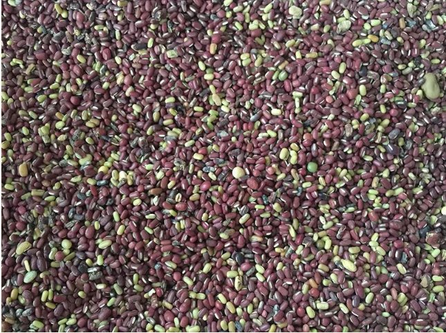 093708_423449_gsdt.png image.png