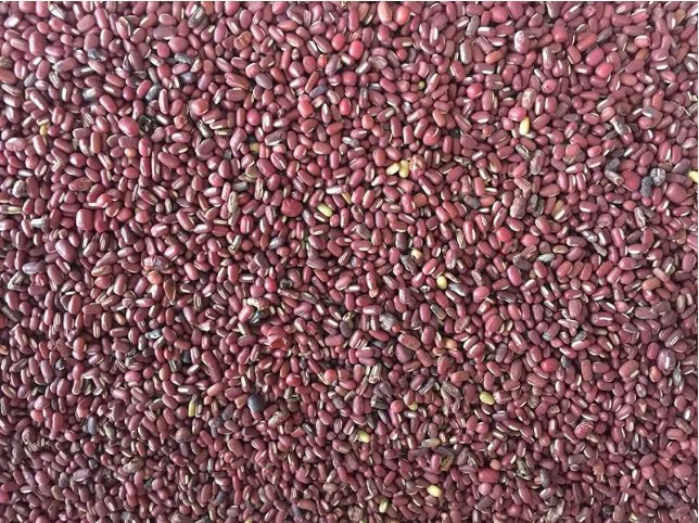 093724_739455_gsdt.png image.png