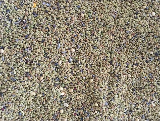 093743_813483_gsdt.png image.png