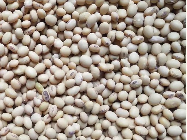 093855_644550_gsdt.png image.png