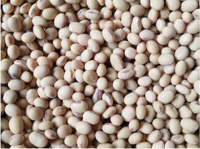 093914_127840_gsdt.png image.png