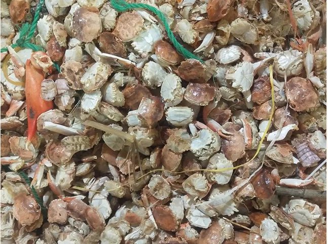 094032_155562_gsdt.png image.png