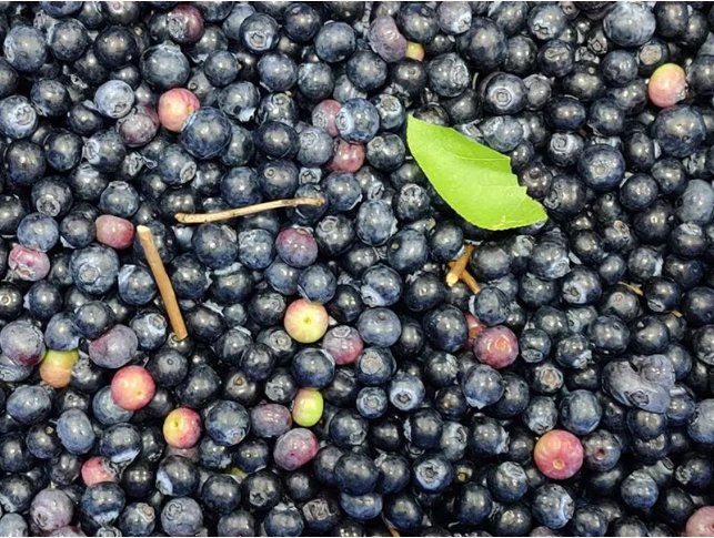 094058_811961_gsdt.png image.png