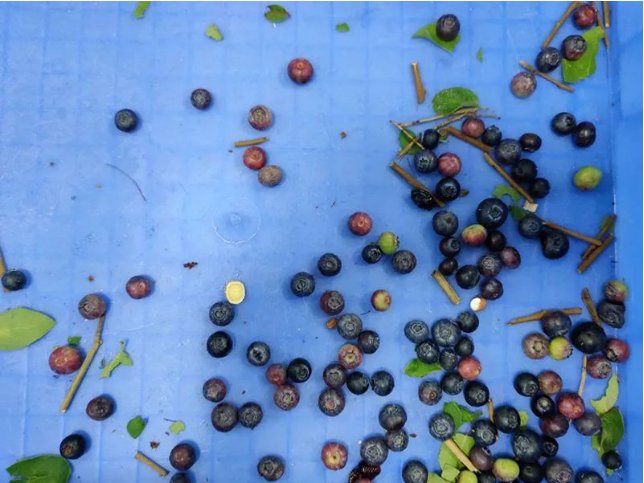 094143_179737_gsdt.png image.png