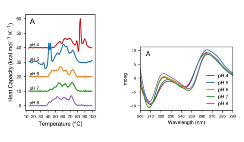 161411_052418_jswz.png 161411_052418_jswz.png