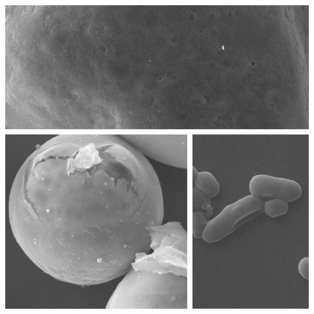 1677547147163218.jpg 1677547147163218.jpg