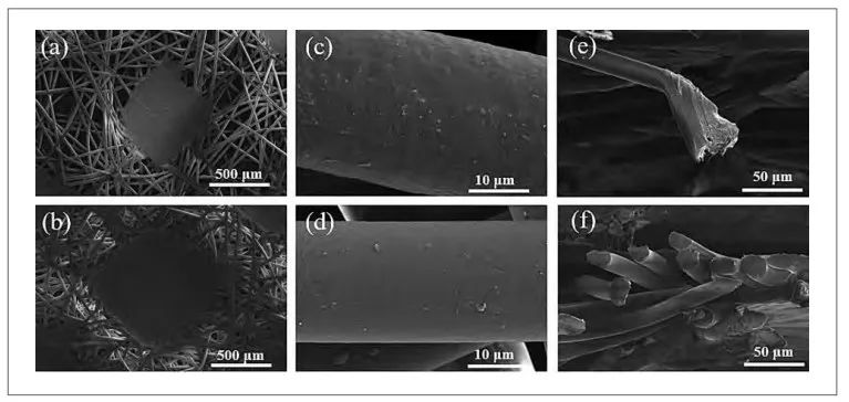 圖片2.png 圖片2.png