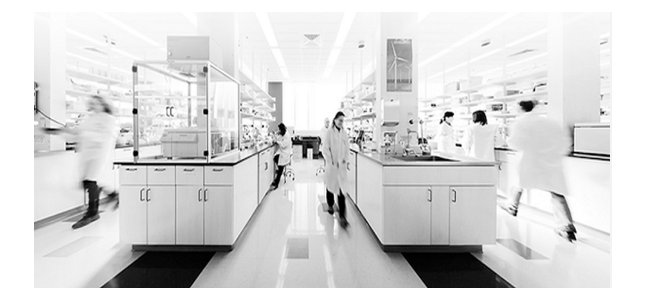 164648_445250_gsdt.png image.png