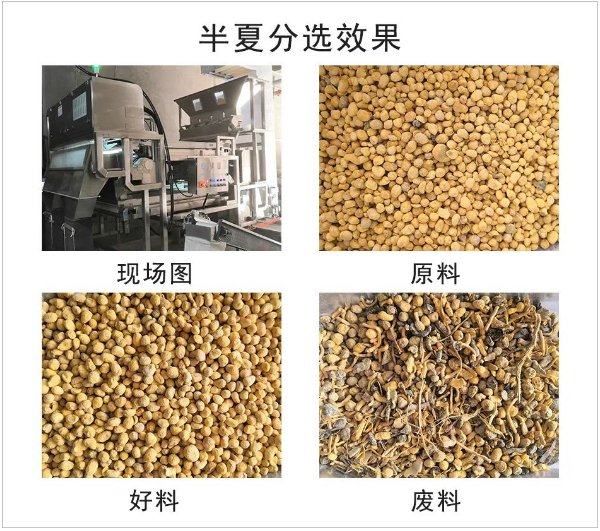 094026_394426_gsdt.png image.png