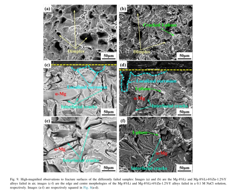 1678842544872699.jpg 25.jpg