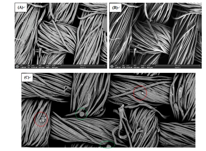 135042_086824_gsdt.png image.png