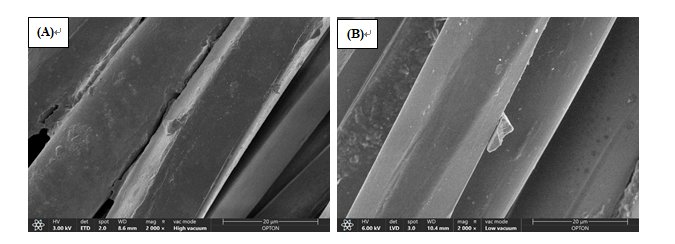 135118_473997_gsdt.png image.png