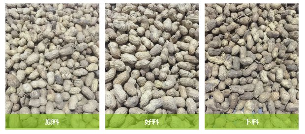 095049_522853_gsdt.png image.png