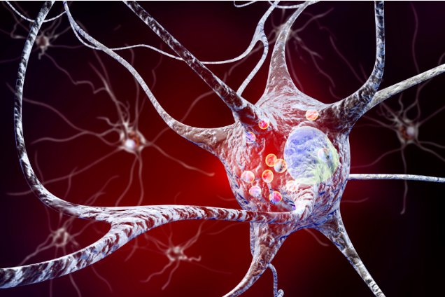 114027_911168_gsdt.png image.png